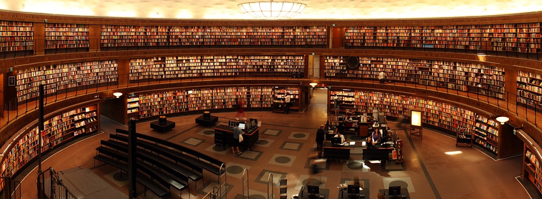 schoollibrary.jpeg Lamar Banner Image